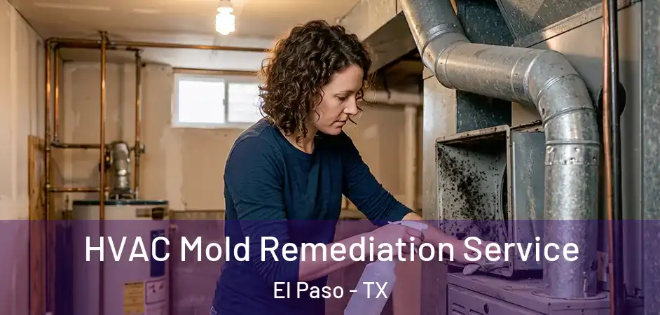  HVAC Mold Remediation Service El Paso - TX